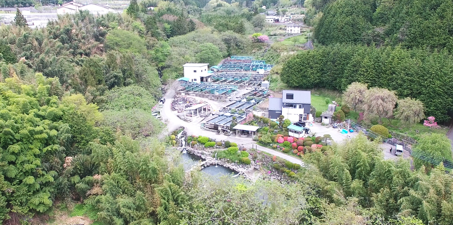 山梨の養鱒場 - 山あいの湧水で育てられる甲斐サーモン