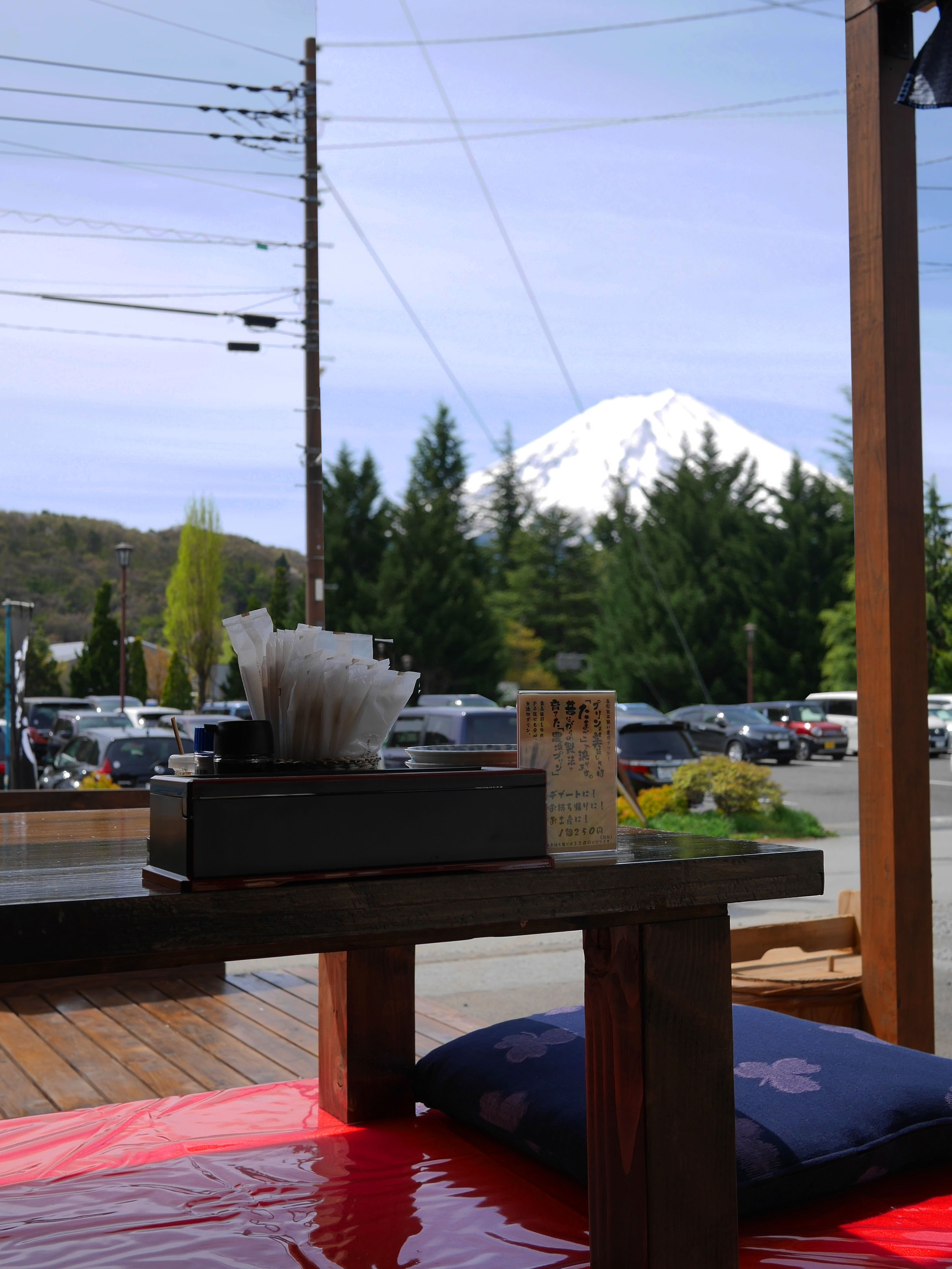 完熟屋 河口湖店 - テラス席から望む富士山